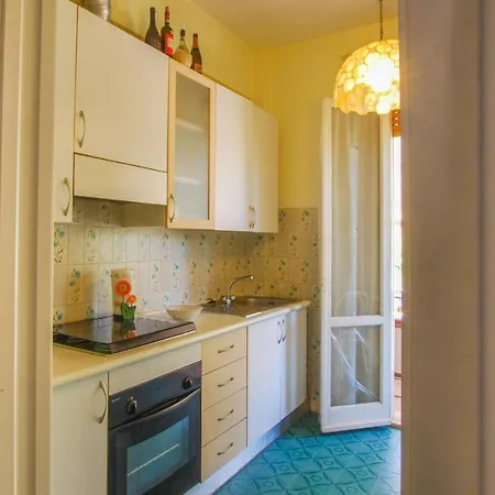 Pet Friendly In With Kitchen