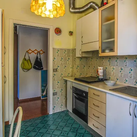 Pet Friendly In With Kitchen Apartment