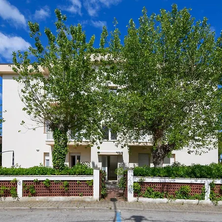 Apartment Pet Friendly In With Kitchen *