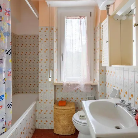 Apartment Pet Friendly In With Kitchen *