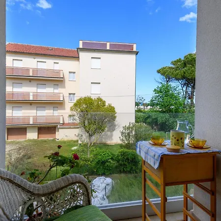 Pet Friendly In With Kitchen Apartment Marcelli