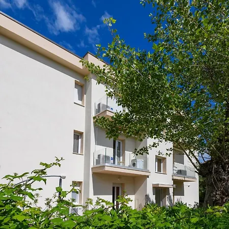 Apartment Pet Friendly In With Kitchen Marcelli